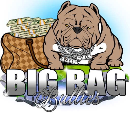 Big Bag Bullies